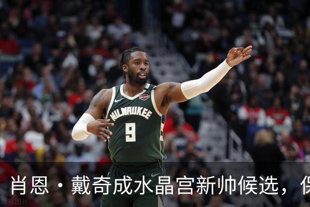 肖恩·戴奇成水晶宫新帅候选，保级经验是关键优势